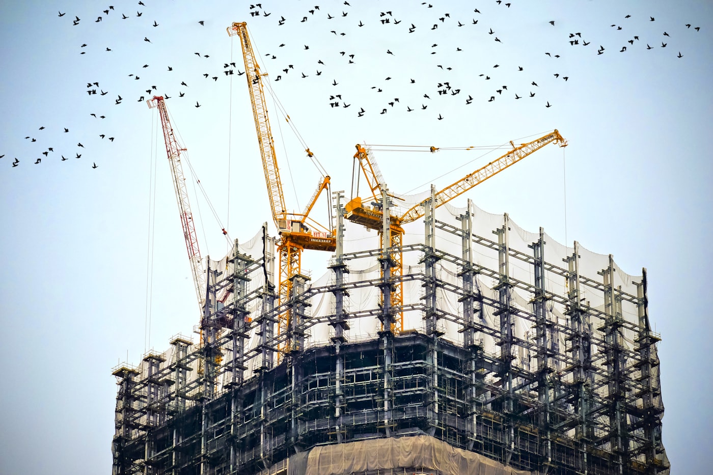 Cranes working on an infrastructure project